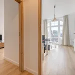 Apartmán Dr - Fryderyk